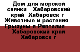 Дом для морской свинки - Хабаровский край, Хабаровск г. Животные и растения » Грызуны и Рептилии   . Хабаровский край,Хабаровск г.